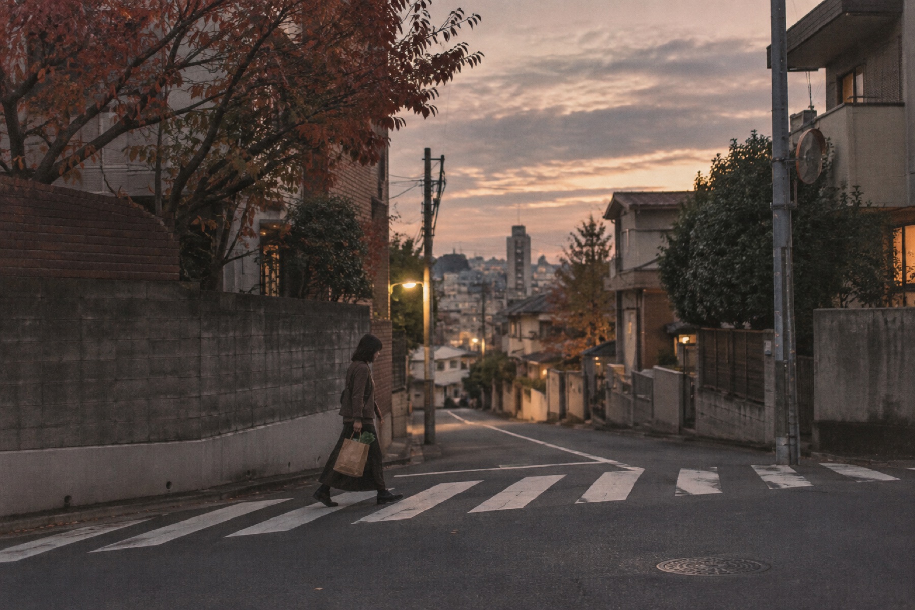 Quiet residential street at dusk
